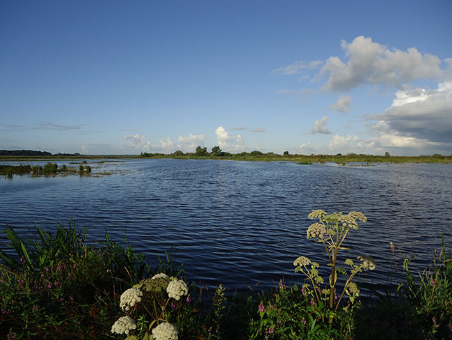 zon, blauwe lucht, witte wolken...