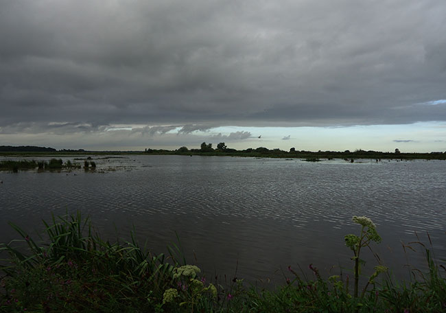 het gloort aan de horizon...