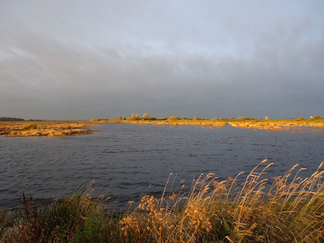 grijze lucht en zon, november 2012