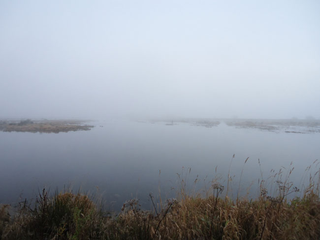 mist, november 2012