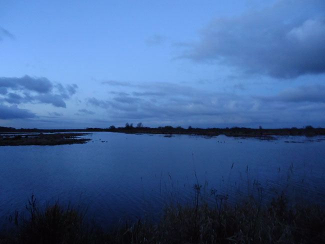 kropswolderbuitenpolder, november 2012