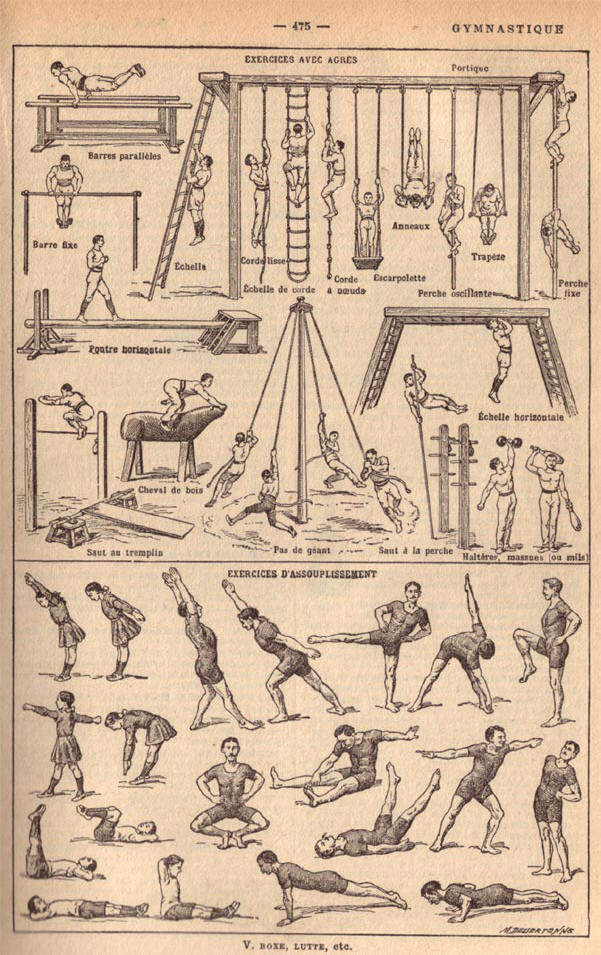 gymnastiek volgens larousse...