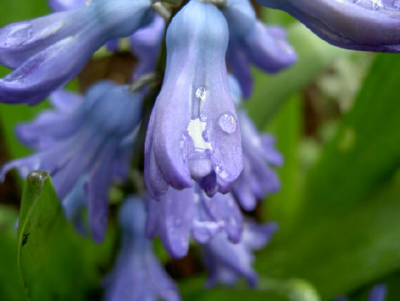 blauw en groen...