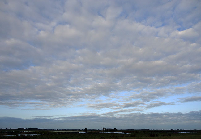 een waterig blauw luchtje...