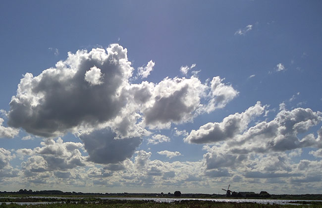 beestenwolken...