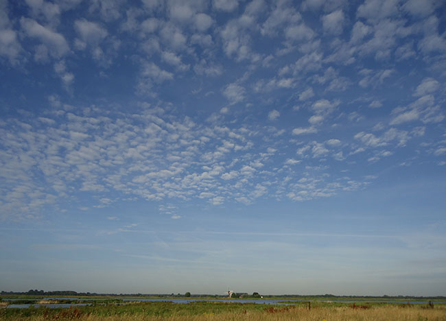 zon en schapenwolken