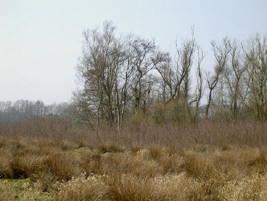 het voorjaar lijkt nog ver weg...
