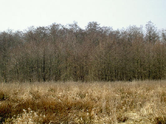 nog meer winterkleuren...