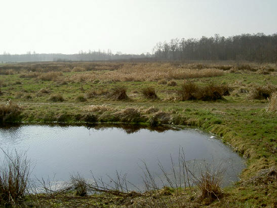 oosterpolder...