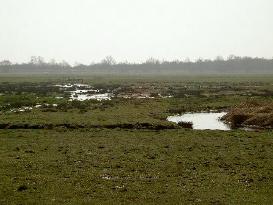 vogelbroedgebied...