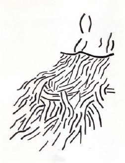 stukjes hout...
