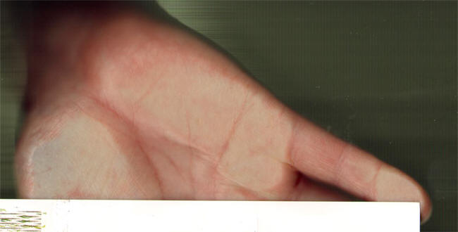 halve hand...