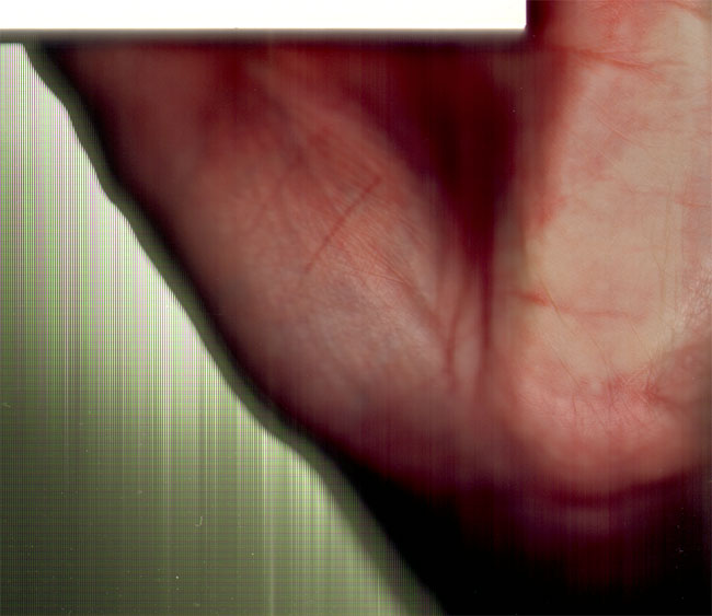 handpalm