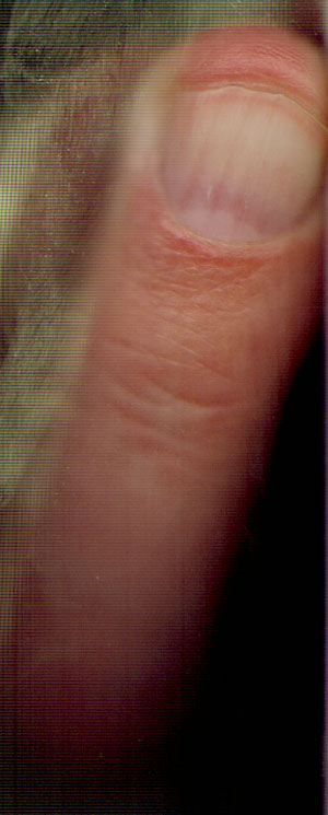 vies glas