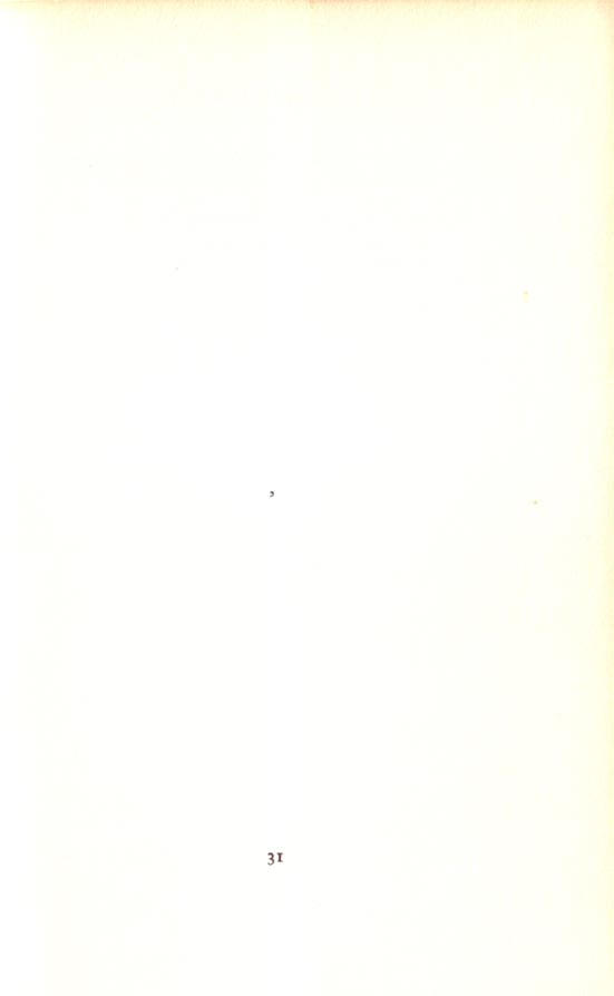 pagina 31...