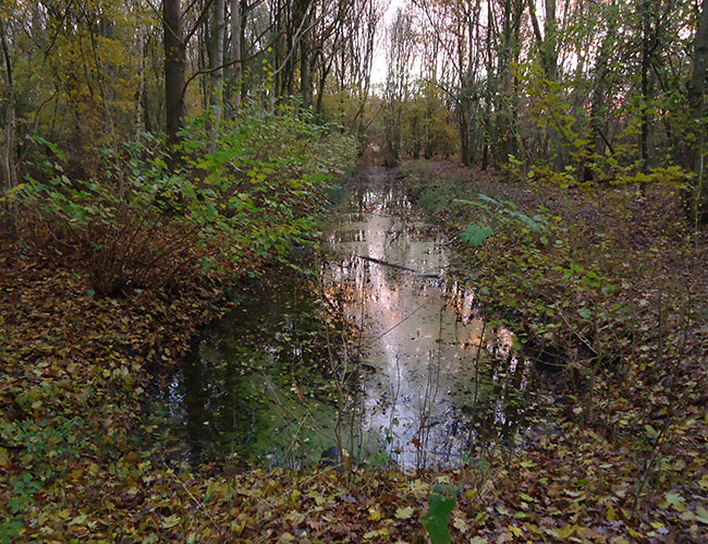 december 2013