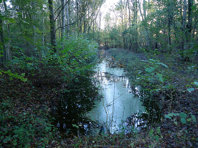 november 2013