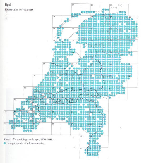 de egel in nederland