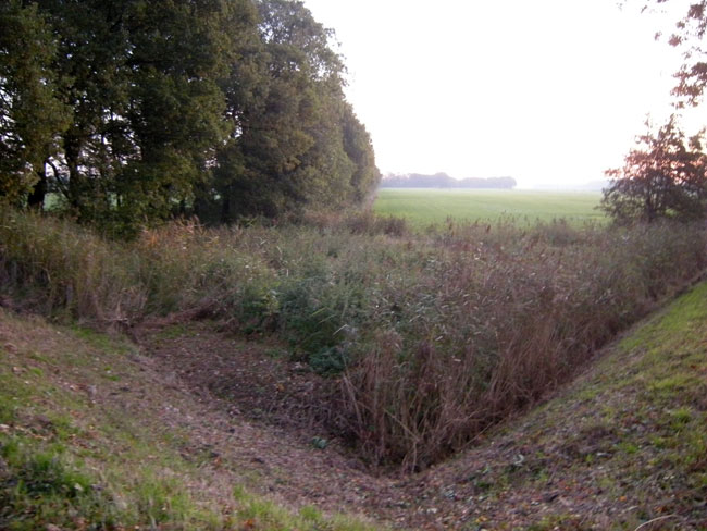oktober 2009 - verwaarloosd...