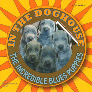 the incredible blues puppies