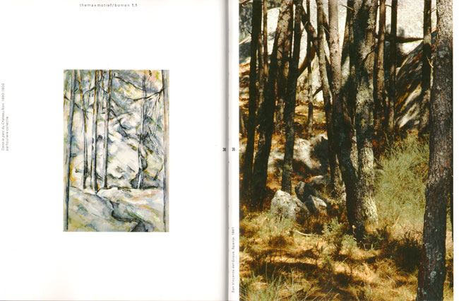 bos en cezanne