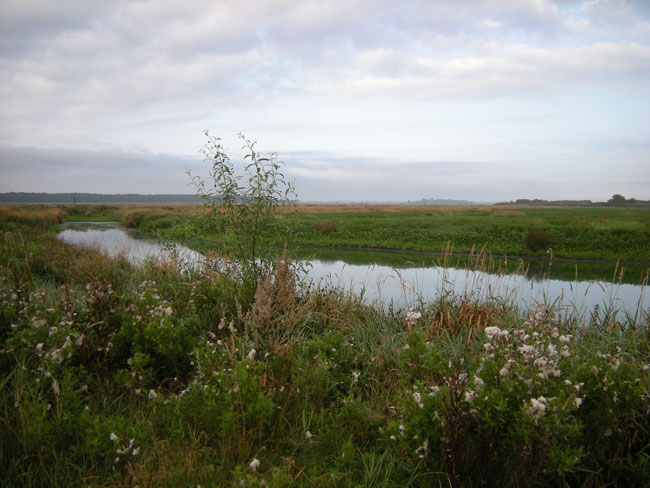 12 augustus 2009