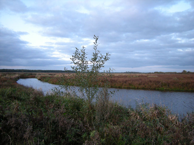13 oktober 2009