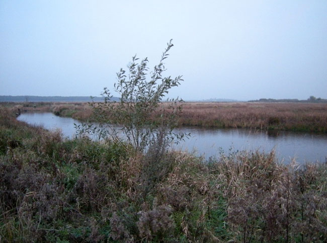 20 oktober 2009