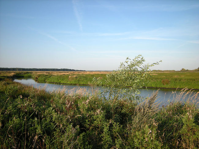 24 augustus 2009