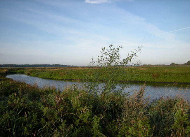 26 augustus 2009