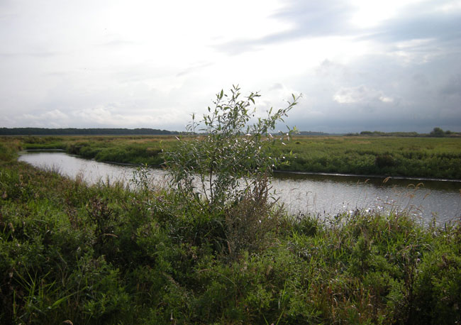27 augustus 2009
