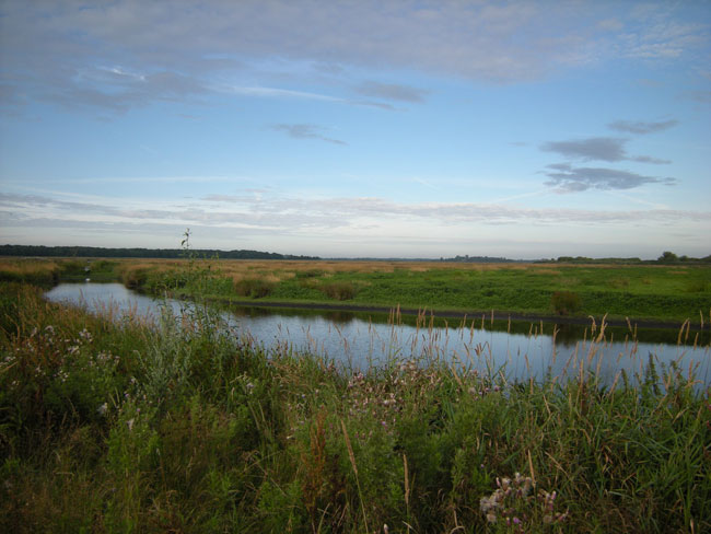 3 augustus 2009