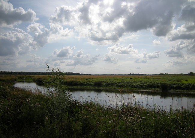 4 augustus 2009