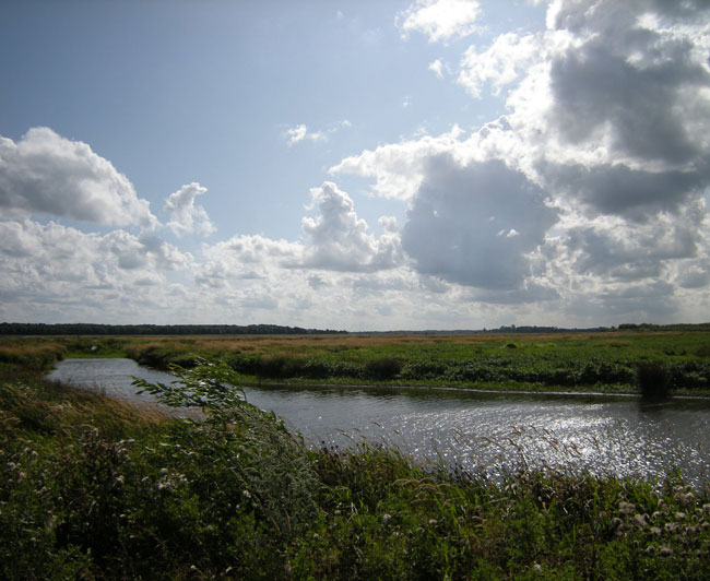 5 augustus 2009