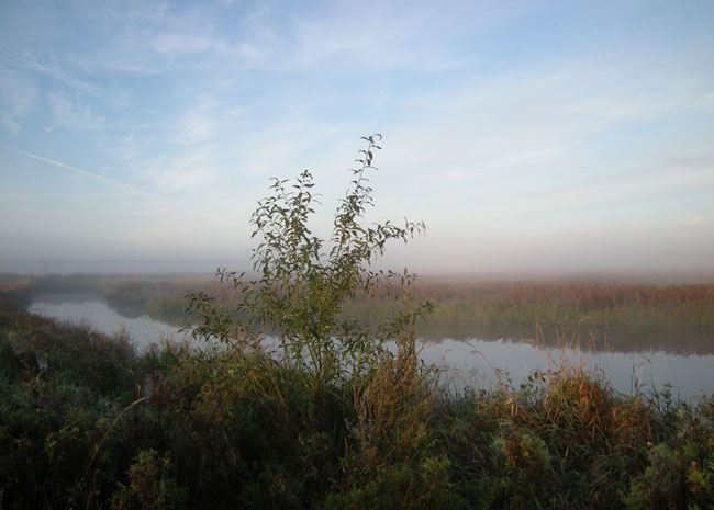 21 september 2009