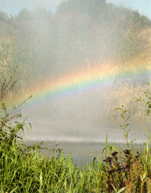 regenboog...