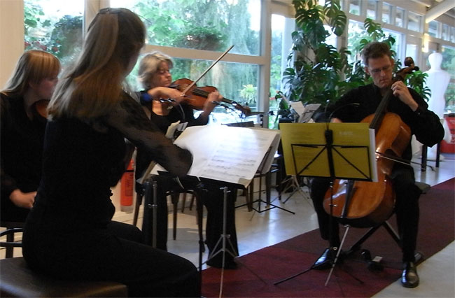 strijkkwartet speelt ravel...