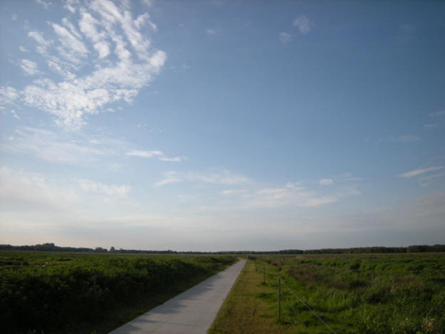 half mei 2009