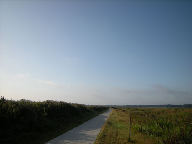 strakke zomerlucht 2009