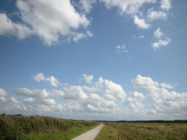 klassieke zomerse schapenwolkenlucht