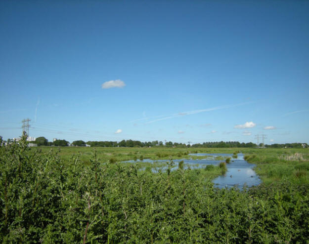 mei 2009