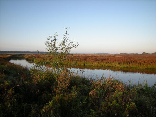 23 september 2009