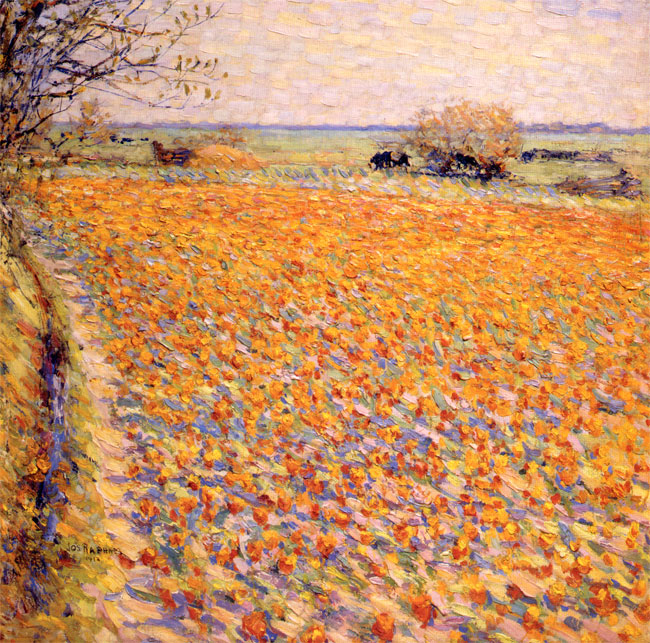 joseph rafael - hollandse tulpenvelden...