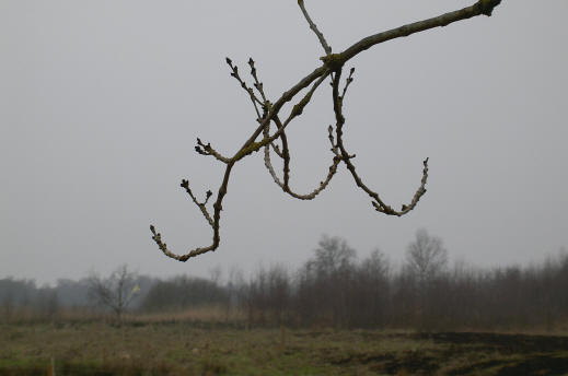 winterkleuren...