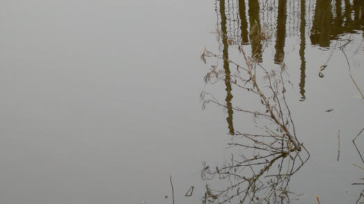 weerspiegeling