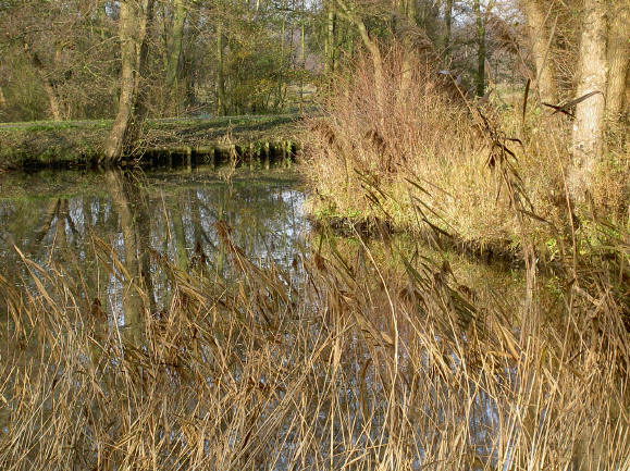 de kleuren van de winter?...