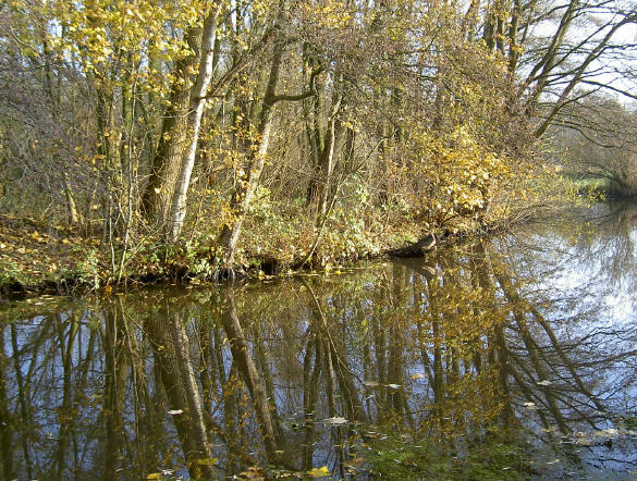 weerspiegeling