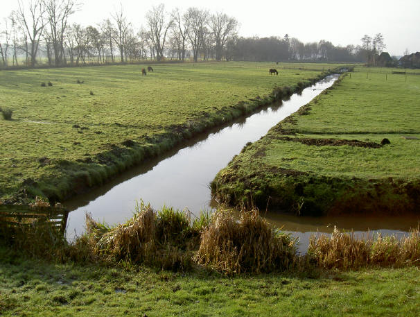 weilanden...