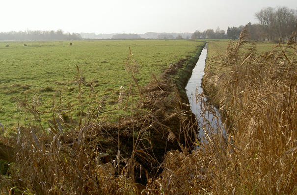 weidse uitzichten...