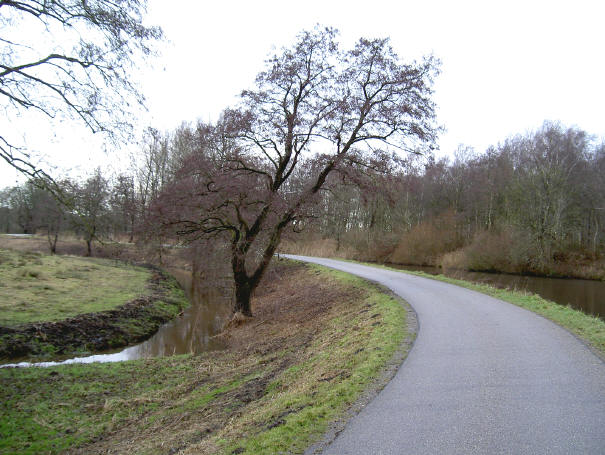 toch zit er ook in de winter nog een hoop kleur in...